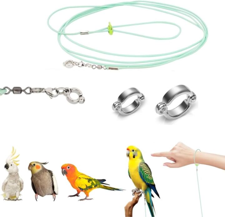 Birds%20leg%20chain%20harness%20cocatail,conure,ringneck%20tiya,love%20bird%20etc%20-%20Image%203