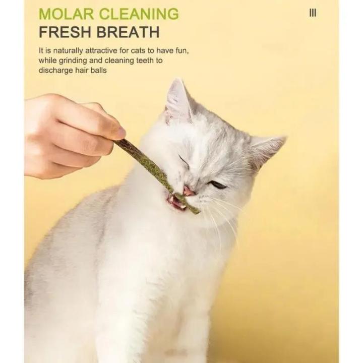 6pcs%20Natural%20Matatabi%20Cat%20Stick%20Mint%20Caught%20Bite%20Excited%20Rods%20Silvervine%20For%20Cat%20Teeth%20Cleaning%20Treating%20Pet%20Supply%20Cat%20Toys%20-%20Image%203