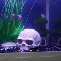 Creative Exotic Environments Human Skull Aquarium Ornament Home Office Decor. 