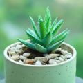 1PC Artificial Green Succulents Creative  DIY Flower Head Home Garden Desktop Decoration Plants. 