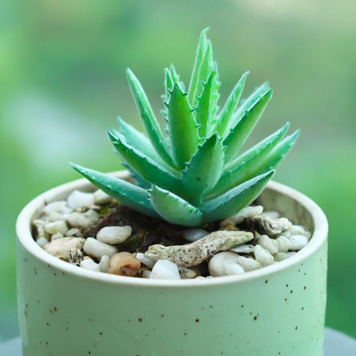 1PC%20Artificial%20Green%20Succulents%20Creative%20%20DIY%20Flower%20Head%20Home%20Garden%20Desktop%20Decoration%20Plants%20-%20Image%207