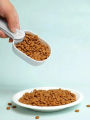Pet Cat Dog Food Shovel Feeding Scoop Spoon with Sealing Bag Clip Multifunctional Measuring Cup multifunctional Pet Supplies. 