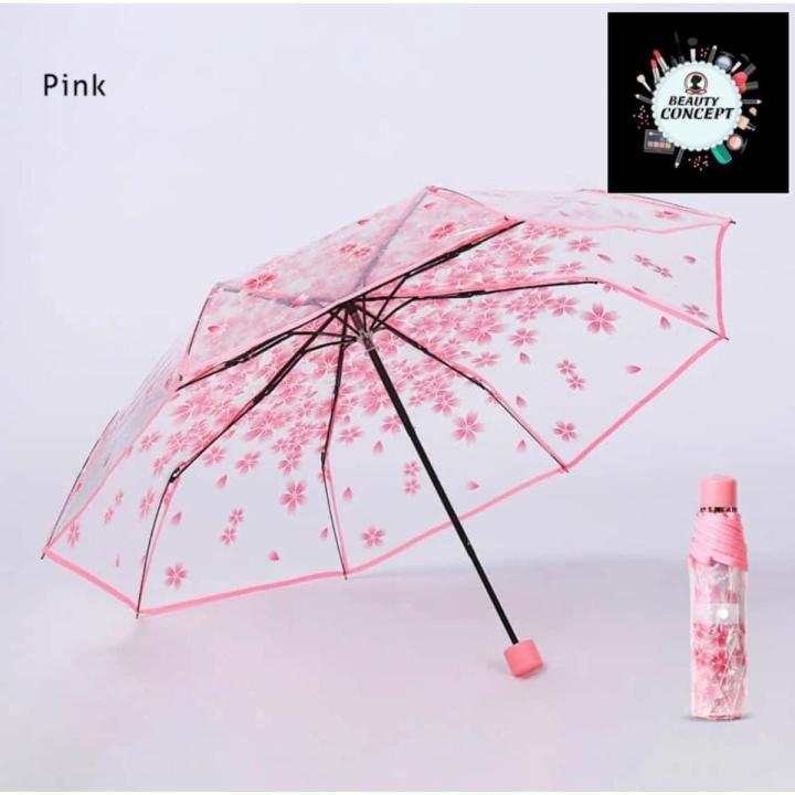 Transparent Umbrella