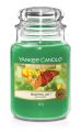 Yankee Candle Classic Large Jar Beautiful Day 623G. 