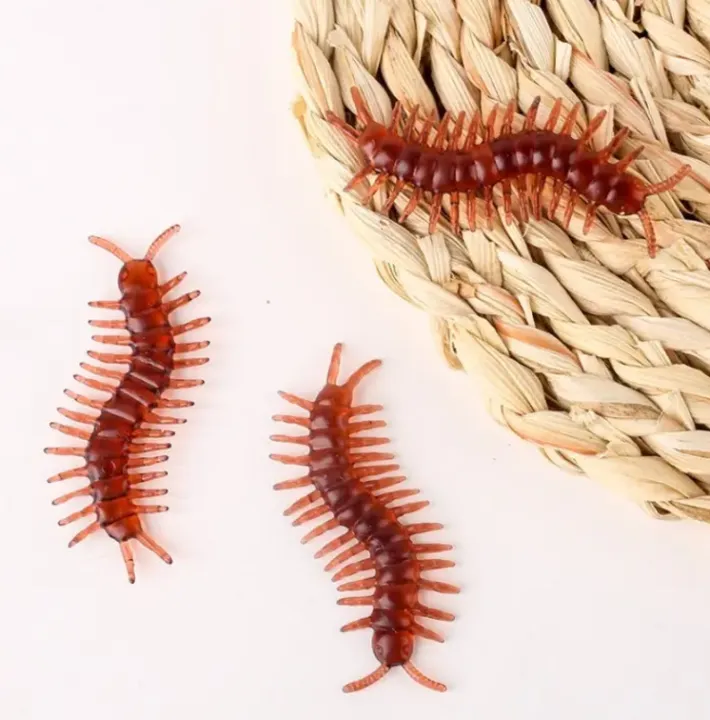 Prank%20Funny%20Trick%20Joke%20Toys%20Special%20Lifelike%20Model%20Simulation%20Fake%20Rubber%20Cockroach%20Cock%20Roach%20Bug%20Roaches%20Toy%20Pack%20Of%204%20-%20Image%208