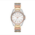 Michael Kors -Mk6686 Rose And Silver Stainless Steel Watch For Women. 