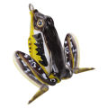 5cm Artificial Frog Shape Fish Lure Bait Outdoor Fishing Tackle Tools Accessory. 