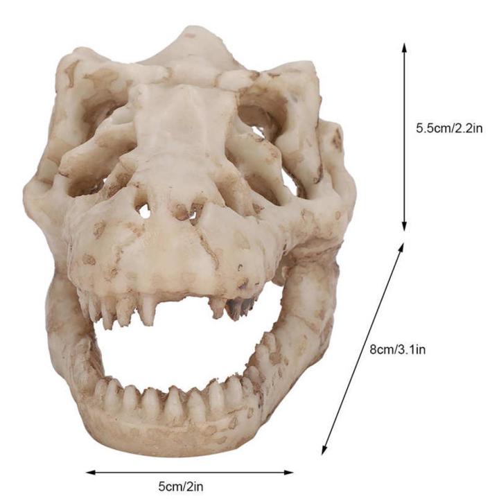fish tank decor artificial simulation dinosaur skull shape for water lan