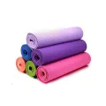 Gym Yoga & Exercise Mat 6MM.