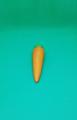 Carrot Squishy. 