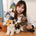 1pc 26CM Lovely Simulation Cat Peluches Toy Stuffed Soft Pet Cat Dolls Kawaii Animal Plush Toys for Children Kids Birthday Decor.