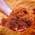 Ready Coco peat media 1KG (5-10% dry) 100% Natural. The best Garden Soil & Fertilizers. 