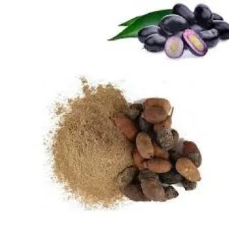 Black%20Plum%20Seeds%20Powder-200%20gm%20-%20Image%204