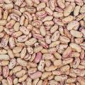 Chitra Mix Kidney Beans/ Chitra Rajma/ Chitra Kidney Beans/ Rajma- 1 kg. 