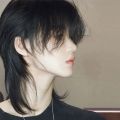 Wolf Tail Wig Full-Head Wig Korean Style Japanese Style StudentcosMen's and Women's Fluffy Lifelike Natural Short Hair Handsome Anchovy Head. 