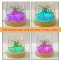 【Thriving】 Light Rotating Display Stand Wood Night Lamp Base Round USB Art Display Holder 10cm LED Light Dispaly Base Bedroom.