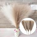 3Pcs Dried Pampas Grass Flower Arrangement Phragmites Reed Flower for Wedding Farmhouse Decor. 