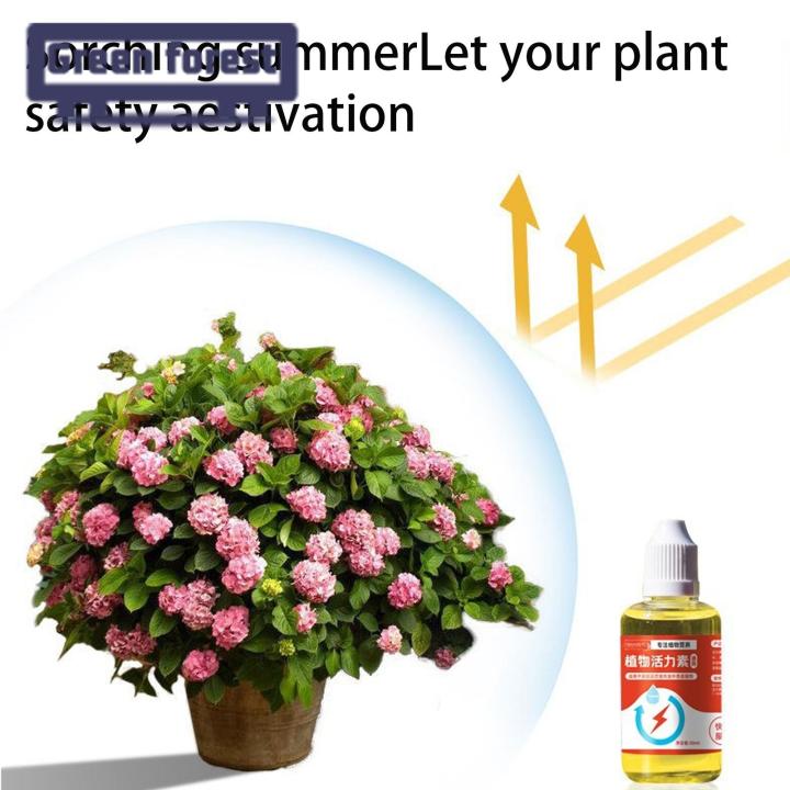 %EF%BC%88New%EF%BC%89Green%20foret%20Plant%20Nutrient%20olution%20Rapid%20Flowering%20Freh-keeping%20Plant%20Nutrient%20-%20Image%207