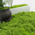1PC DIY Artificial Fresh Green Moss Lawn Micro Landscape Silk Moss Wedding Centerpieces Garden Terrariums Decoration Fake Moss Natuo. 
