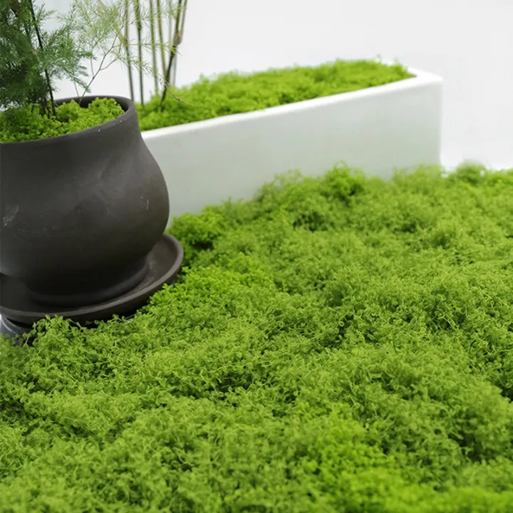 %E3%80%90Exclusive%20Discount%E3%80%91%201PC%20DIY%20Artificial%20Fresh%20Green%20Moss%20Lawn%20Micro%20Landscape%20Silk%20Moss%20Wedding%20Centerpieces%20Garden%20Terrariums%20Decoration%20Moss%20Natuo%20-%20Image%202