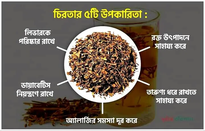 Yalangoch qizlar fon rasmi full hd