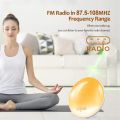 Nature Wake Up Light Alarm Clock with Sunrise/Sunset Simulation Dual Alarms FM Radio Snooze LED Atmosphere Night Light.