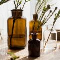 Juhan INSGlass Bottle Vase flower Test Bottle Brown Groceries Nordic Retro Industrial Style.