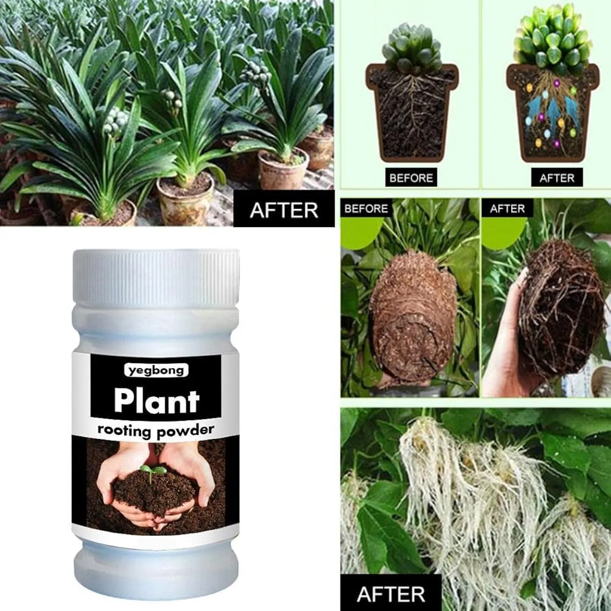 Rooting Powder, Rooting Hormone Powder for Easy to Root Plants Rooting ...