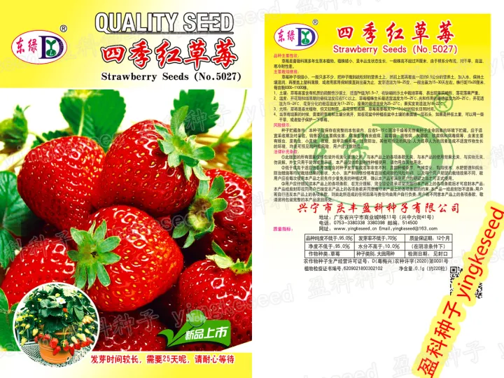 Exceotional%20Quality%20-%20Organic%20Red%20Strawberry%20Seed%20-150%20+%20PC%20Seed%20(imported%20global%20seeds)%20-%20Sustainable%20Option%20-%20To%20Exprerience%20Greatness%20-%20Image%207