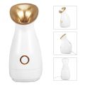 Facial Vaporizer Sprayer Nano Mister Facial Steamer Beauty Face Care Deap Cleaning Face Humidifier Moisturizer Hot Spray. 