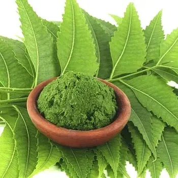 Neem%20pata%20Gura-%20Neem%20Powder%20(100%20gm)%20-%20Image%204