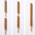 Extended Coir Moss Totem Pole, Coco Coir Poles Coconut Fibre Support Stake, Plant Support Pole 12PCS. 