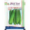 F1 Hybrid All Season Sosha/Baromasi Sosha (Repack)- 10 Seeds. 