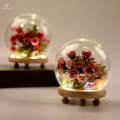 Glass Display Micro Landscape DIY Decorative Clear Dome for Photos Medals Decoration Home 10cm. 