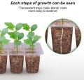 Transparent plastic plant propagate seed tray 12 cells - Vintage Choice - Exclusive Experience. 