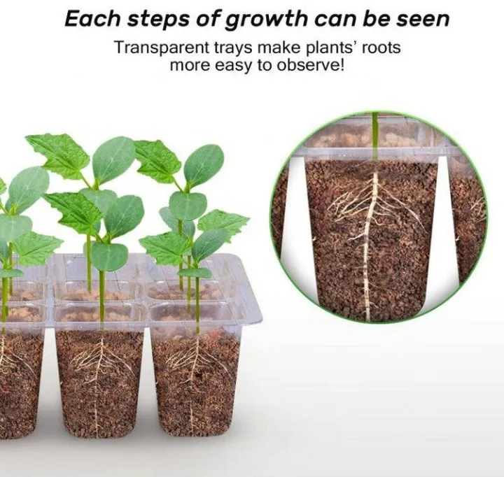 Transparent%20plastic%20plant%20propagate%20seed%20tray%2012%20cells%20-%20Vintage%20Choice%20-%20Exclusive%20Experience%20-%20Image%203