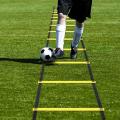 JAERBEE Agility Ladder Set 20Ft Adjustable Speed Training Ladder with 12 Football Training Disc for Soccer, Sports Training.