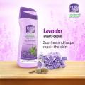 Boroplus Antibacterial Moisturising BODY WASHNEEM,LAVENDER,& VIT-E -300ml. 