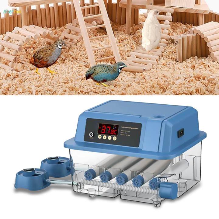 Automatic%20Egg%20Incubator%20Small%20Egg%20Hatcher%20Machine%20for%20Chicken%20Birds%20Quail%2012%20eggs%2026x31x21cm%20-%20Image%205