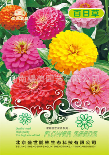 Zinnia%20Flower%20Seeds,%20Imported%20Intake%20Packet%20-%201%20packet%20-%20Image%202
