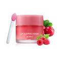 20g South Korea Lip Sleep Mask Night Sleep Maintenance Moisturizing Lip Gloss Bleach Cream Nourishing Lip Care Strawberry.
