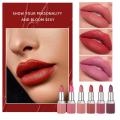 6Color Matte Moisturizing Lipstick Lipstick Matte Add High Texture Color Comfortable Effect Matte Durability F4T9. 