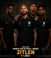Brazil T-Shirt - Polo T Shirt For Men - Polo T Shirt For Men.