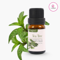 Tea Tree Essential Oil 10 ml.
