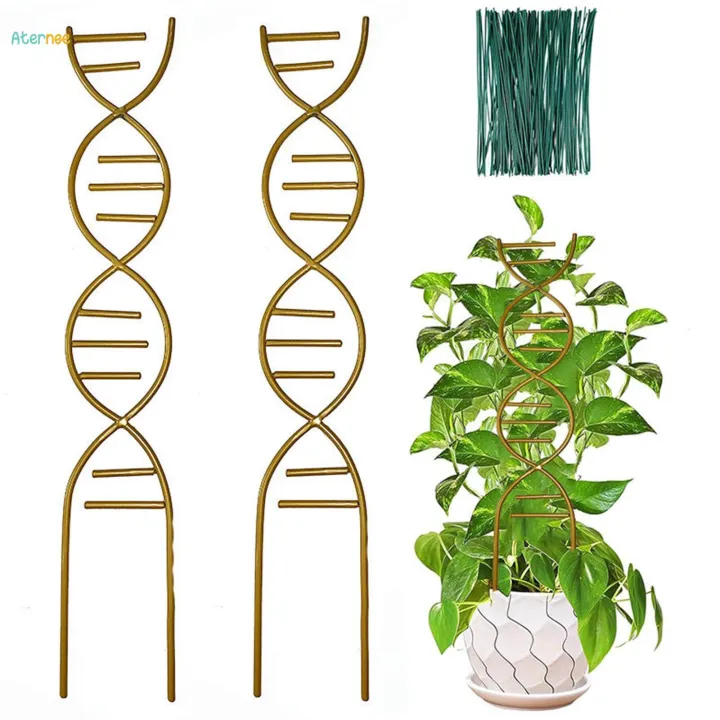 Plant%20Trellis%20Decorative%20Plant%20Cages%20Garden%20Trellis%20Flower%20Pots%20Support%20for%20Vegetables%20Vines%20-%20Image%204
