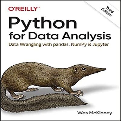 Python for Data Analysis: Data Wrangling with pandas, NumPy, and ...