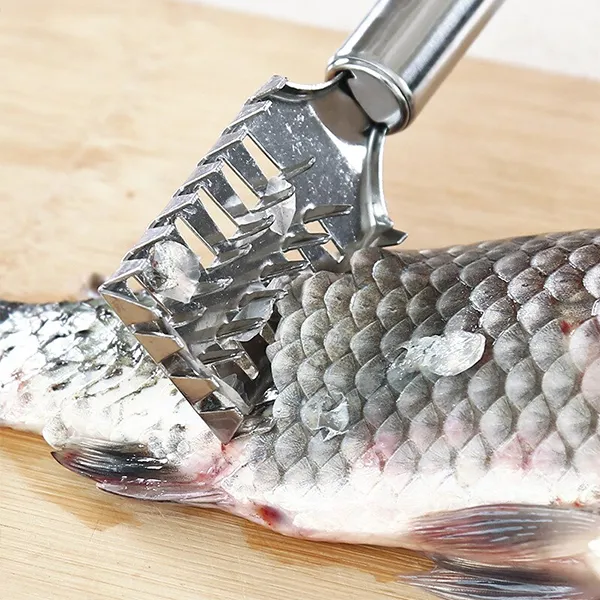 Stainless%20Steel%20Fish%20Skin%20Scraper%20Remover%20Cleaner%20-%20Image%203