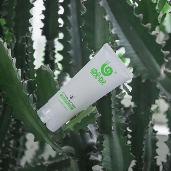 Snail%20Shampoo%20Full%20Range%20Genuine%20Wowo%20Pure%20Ginger%20Shampoo%20Set%20New%20Hair%20Mask%20Silicone-Free%20Shampoo%20Set%20-%20Image%203