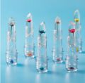 Magic Jelly Flower Lipstick Temperature Changing Lip Blam Transparent Moisturizing Lip Korean Tools. 