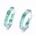 Temu cross-border blue opal round earrings cross-border e-commerce European and American fashion men's and women's earrings. 